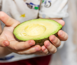aguacate partido por la mitad